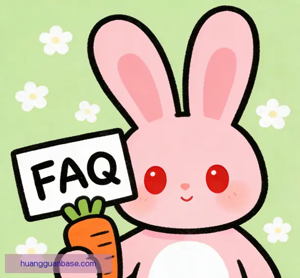 常见问题